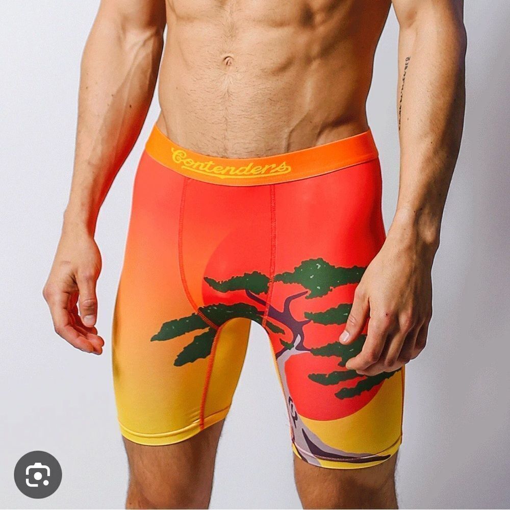 Contenders mens boxer briefs xl Daniel San bonsai the karate kid